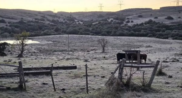 Zona Sul amanhece com geada e temperaturas negativas