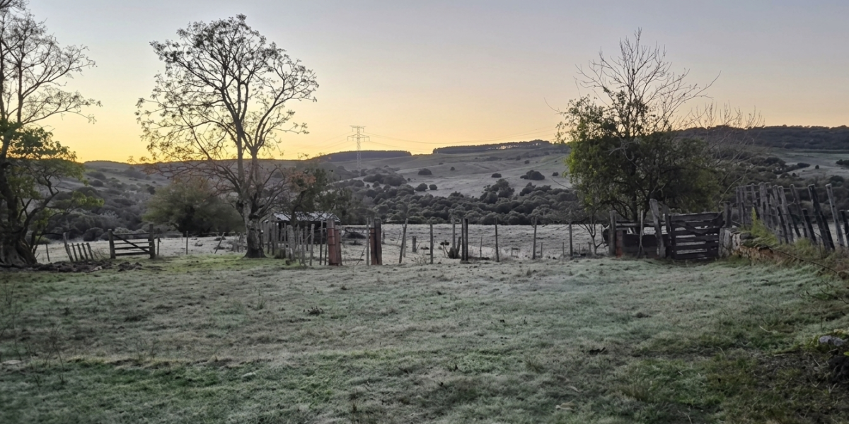 Zona Sul registra menor temperatura do ano no Rio Grande do Sul