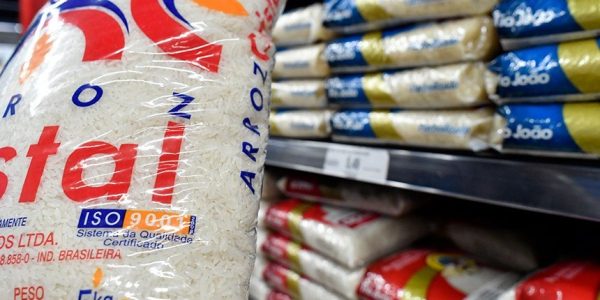 Embrapa busca adaptar protocolos de rastreabilidade na cadeia do arroz