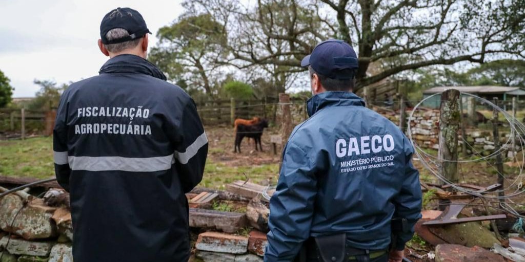 Operação Boi Fantasma desarticula esquema que movimentou R$ 100 milhões