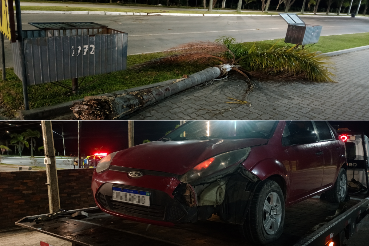 Motorista embriagado causa acidente na avenida Adolfo Fetter