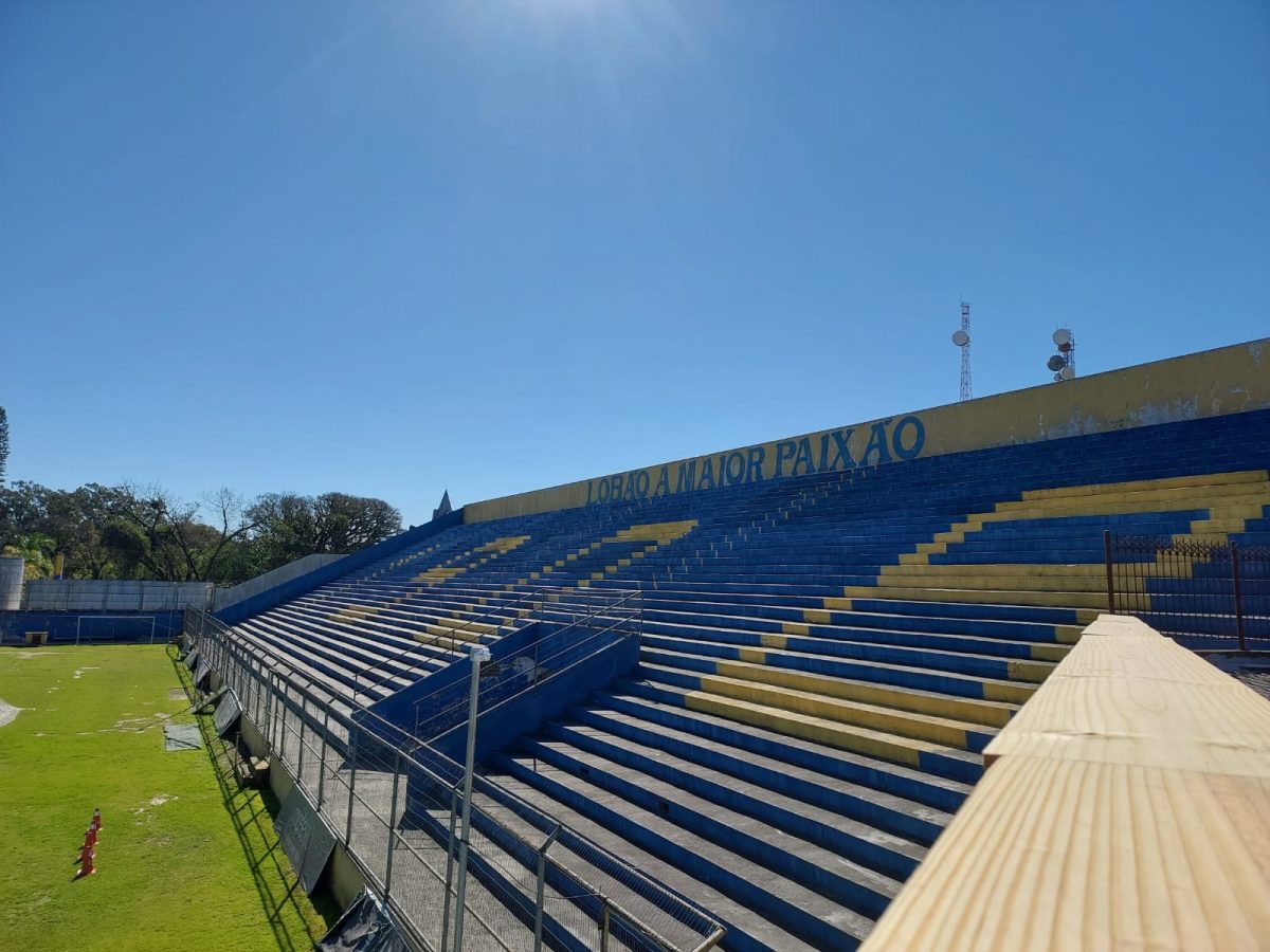 Entenda como o Conselho Deliberativo do Pelotas pautará proposta por SAF