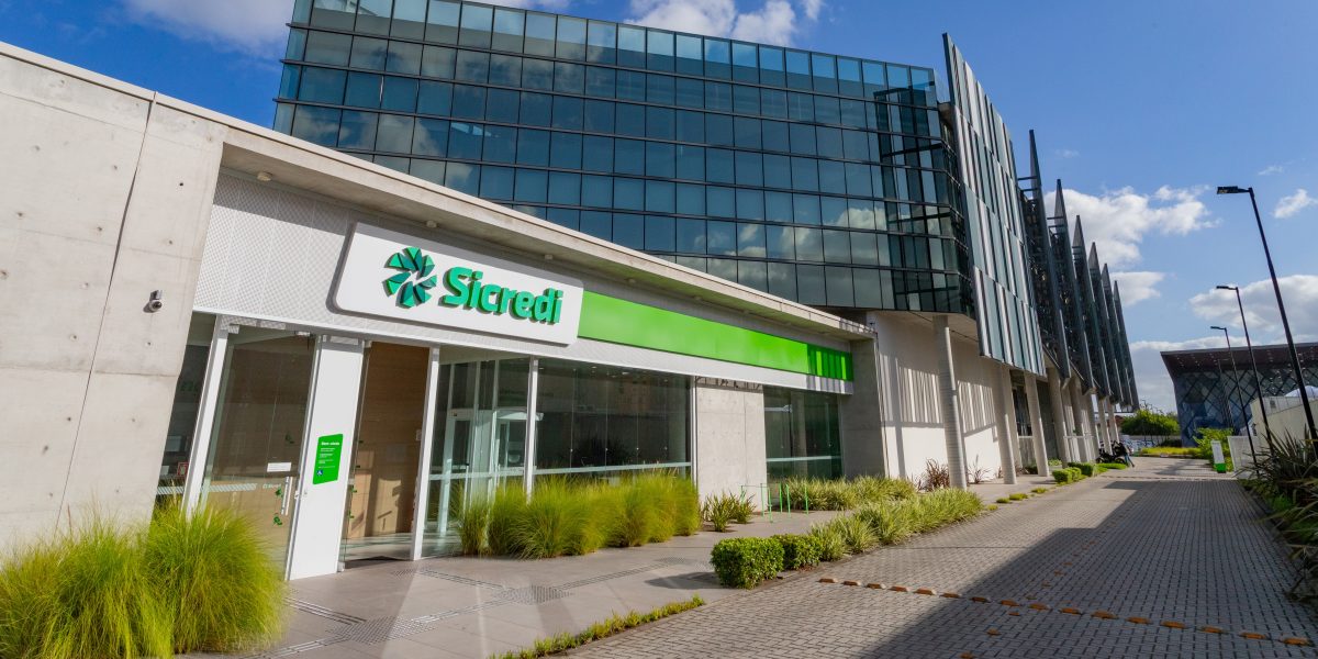 Cooperativismo movimenta R$ 2 bilhões na região Sul em 2025