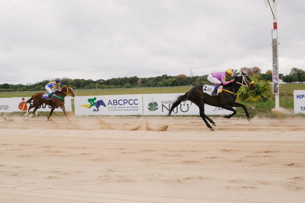 Grande Prêmio Cidade de Pelotas inaugura temporada no Jockey Club
