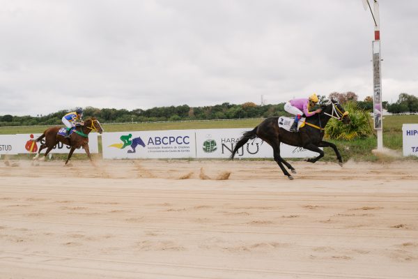 Grande Prêmio Cidade de Pelotas inaugura temporada no Jockey Club