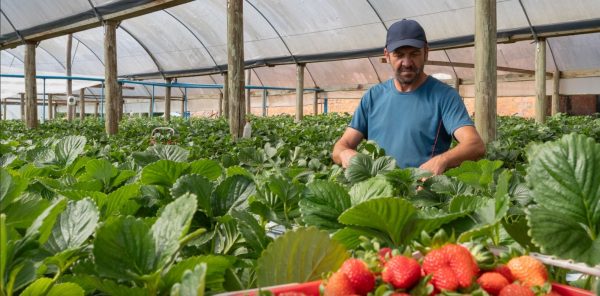 Ainda sem respostas, morte do agricultor Marcos Nörnberg completa seis meses