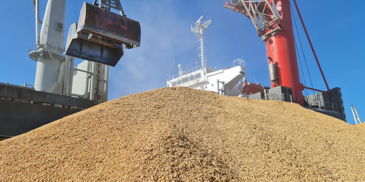 Tarifa dos EUA atinge exportações de arroz gaúcho e preocupa setor