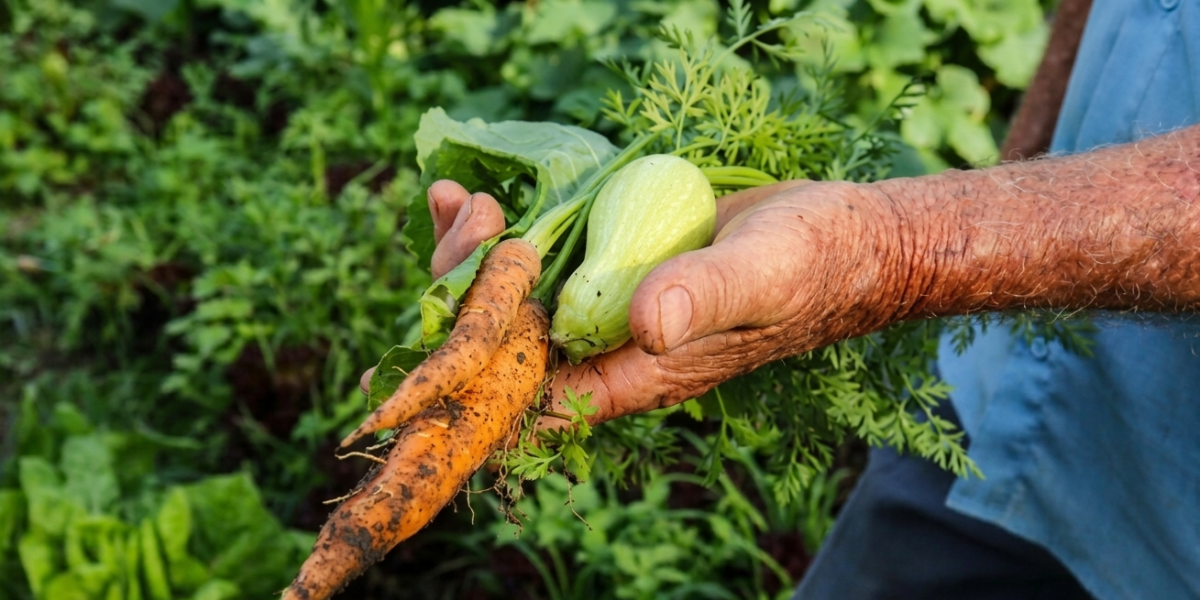Governo apresenta Plano Safra da Agricultura Familiar em agosto