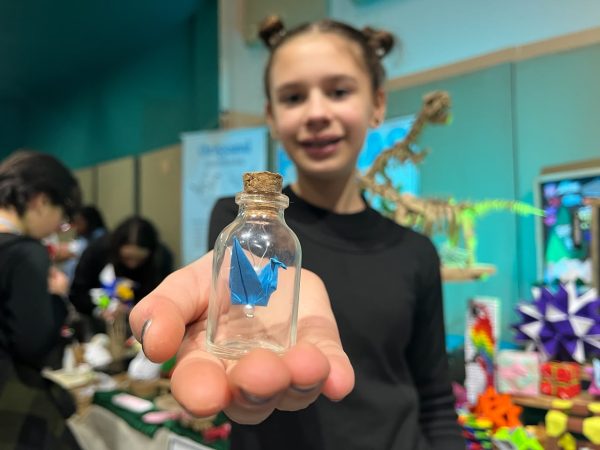 “É libertador para mim”: origami ajuda estudante a encontrar seu espaço